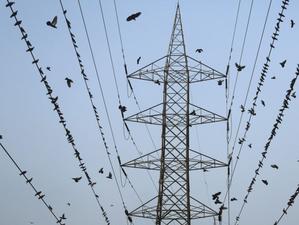 保加利亞和馬其頓將加入電力市場