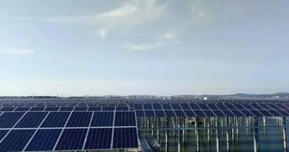 晶澳海外業務增長迅速 巴西、馬來西亞光伏電站均采用其高效單晶PERC組件