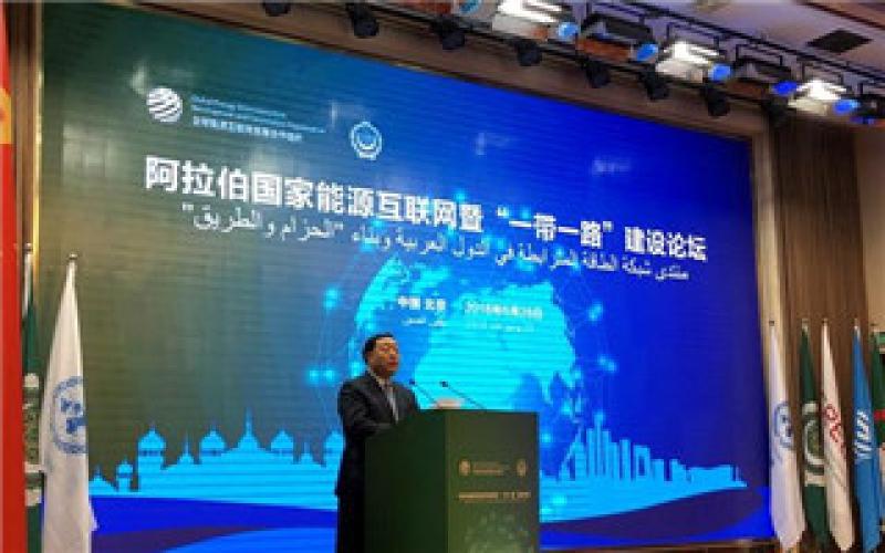 阿拉伯國家能源互聯網暨“一帶一路”建設論壇在京舉行