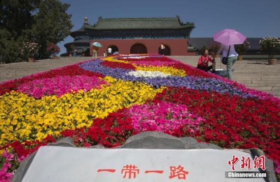 阿聯(lián)酋駐華大使：“一帶一路”是阿中合作的重要橋梁