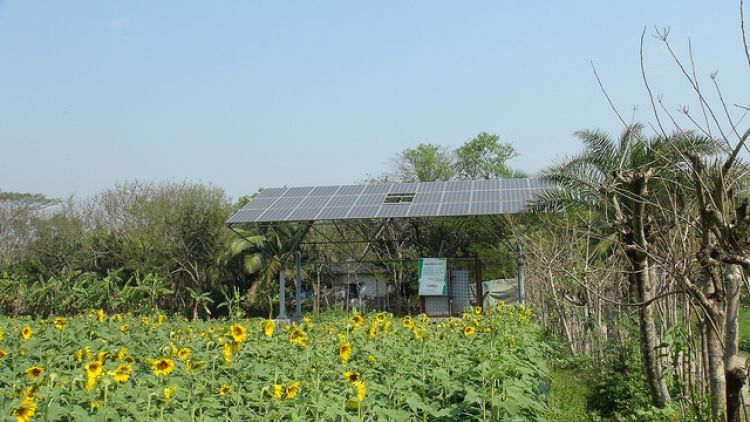 亞行為孟加拉國19MW太陽能灌溉提供4500萬美元融資