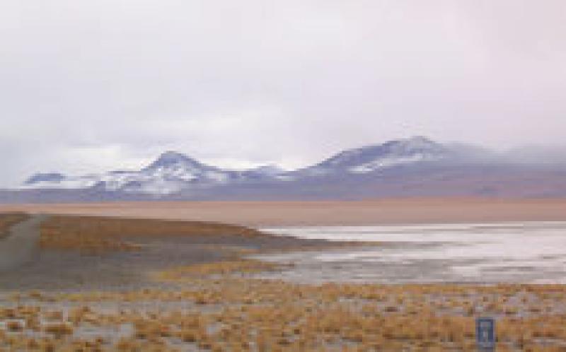 RFP：技術協調地熱開發，Laguna Colorada，玻利維亞