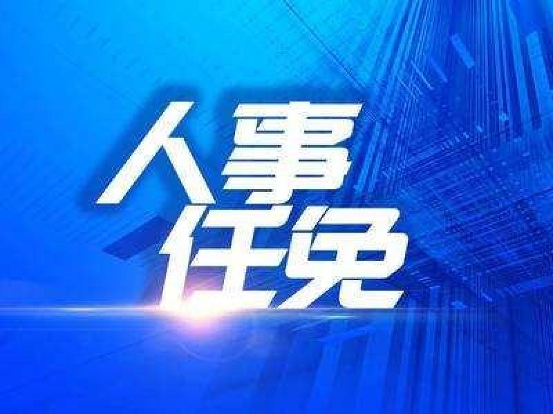 中國大唐總經理任職