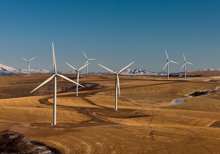 特朗普政府叫停拜登批準的巨型風電項目