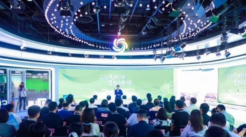 國網江蘇電力宣傳部：碳路展成果 服務筑新篇