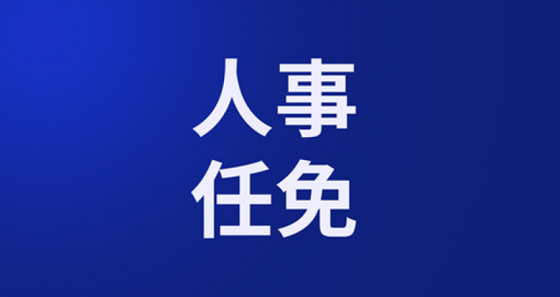 張文彤任自然資源部副部長